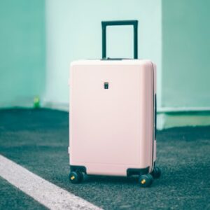 Multi-Currency Travel Wallet